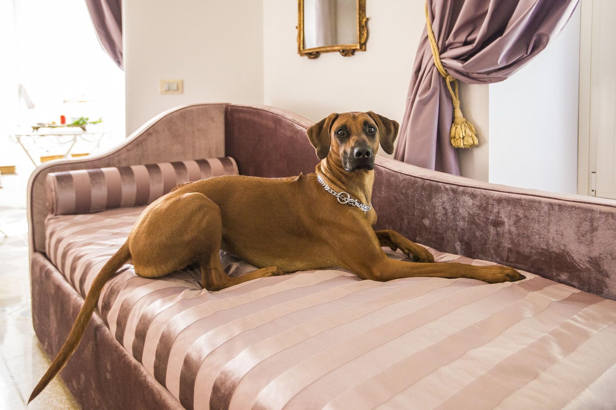 Trastevere Royal Suite โรม ภายนอก รูปภาพ